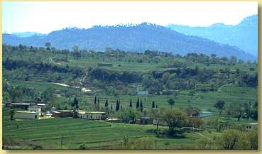 Damas town in the Chrohi Valley